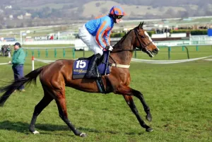 Cheltenham Racecourse Images Drucke: Refinement