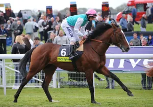 Horse Racing At York Drucke: Workforce
