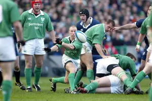 Peter Stringer