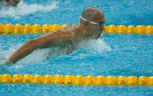 László Cséh