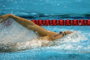 László Cséh