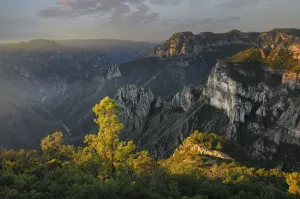Kopercanyon