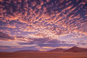 Africa
