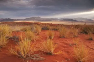 Africa