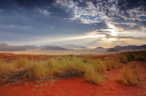 Africa