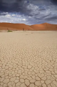 Dead Vlei