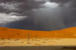 Dead Vlei
