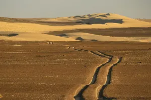 Desert Landscape Namibia Africa Drucke: Desert