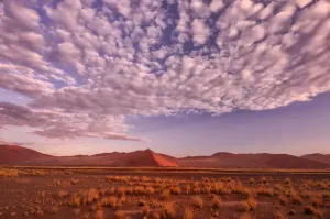 Sossusvlei Sand Dunes Africa Drucke: Desert