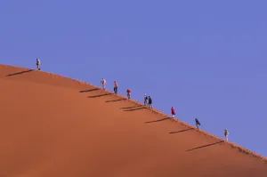 Namibia Drucke: Desert