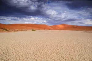 Desert