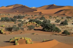 African Desert Adventure Drucke: Desert Dunes