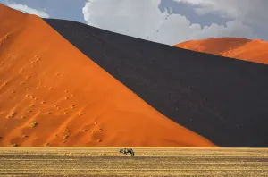 Namibia Drucke: Gemsbok