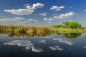 Fluss Kwando