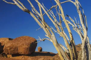 Namibia Drucke: Namibia