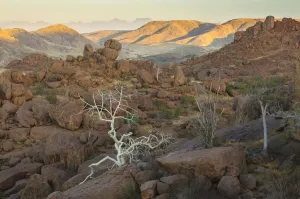 Namibia