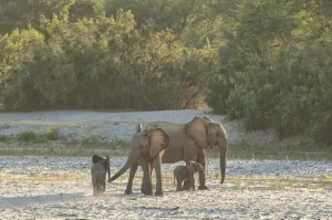 Namibia