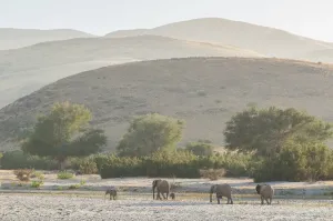 Namibia