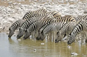 Namibia