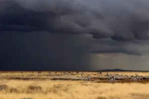 Namibia