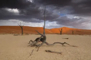 Namibia