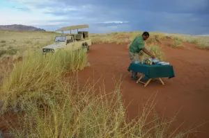 Safari