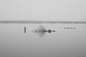 2s67n0k