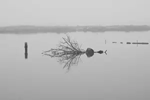 2s67n3f
