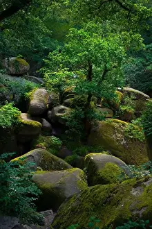 2sgjy05