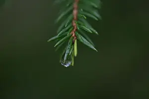 2yhmc8e