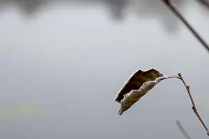 2ytrwtb