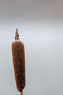 2ytrxj4