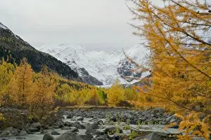 2yycwy6