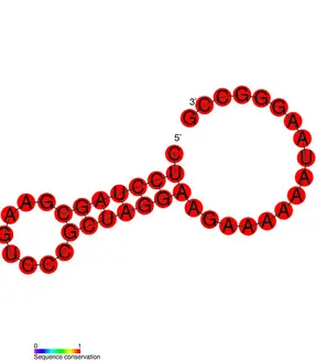 48 RF01100