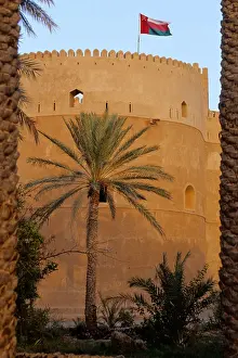 a76ww4