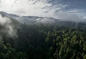 Gerahmter Druck : Aerial view of the Cloudforest, Mashpi, Reserva Mashpi Amagusa, Pichincha, Ecuador, South America Gerahmter Druck : Aerial view of the Cloudforest, Mashpi, Reserva Mashpi Amagusa, Pichincha, Ecuador, South America