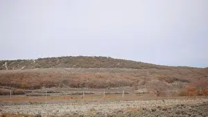 Luftaufnahme gelber Felder. Handlung. Agrarische Sicht auf einen herbstlichen Tag mit wolkenbedecktem Himmel und einem hektischen Wiesenfeld