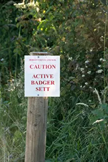 Gerahmter Druck : Badger-Settlements-Warnzeichen Gerahmter Druck : Badger-Settlements-Warnzeichen