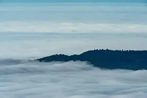 Schwarzwaldlandschaft