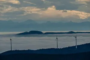 Schwarzwald-Landschaft
