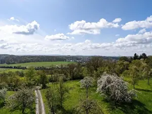 Blühende Fruchtbaumwiesen und Felder mit Drohne im Frühjahr aufgenommen wurden