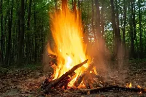 Kehlende Feuerwerk, das Holzfeuer brennt im Wald