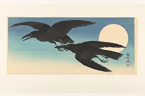 Käfer bei voller Mondnacht zwei Käfer fliegen nach links auf einem blauen Hintergrund