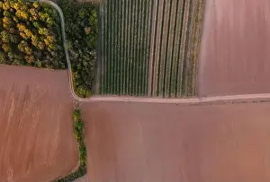 DJI Mavic Mini Luftbildaufnahme