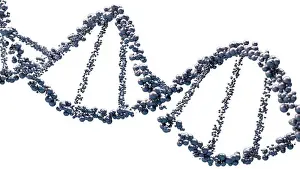 Struktur der DNA unter einem Mikroskop. Moleküle mit genetischer Information. 3D-Rendern