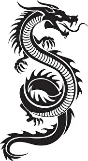 Drachen-Vektor-Design