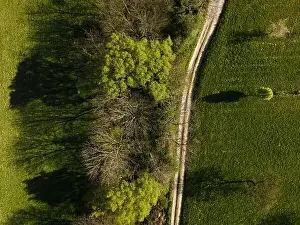 Flugzeugdrone über grüne Wiesen und Waldbestände im Landschaftsbild der Natur im April in Österreich