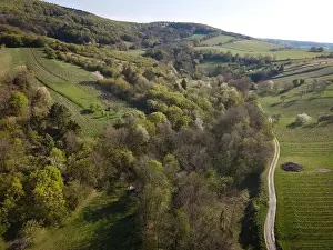 Flug eines Drohnen über grüne Wiesen und Waldflächen im Landschaftsbild der Natur im April in Österreich