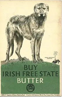 Anzeige des Empire Marketing Boards für irischen Butter um 1925