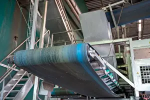 Frische Gemüse verarbeitende Ausrüstung nach der Ernte.